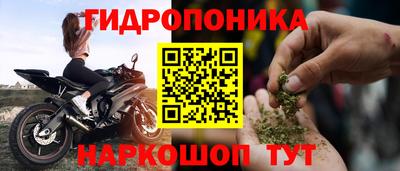 гидра Партизанск