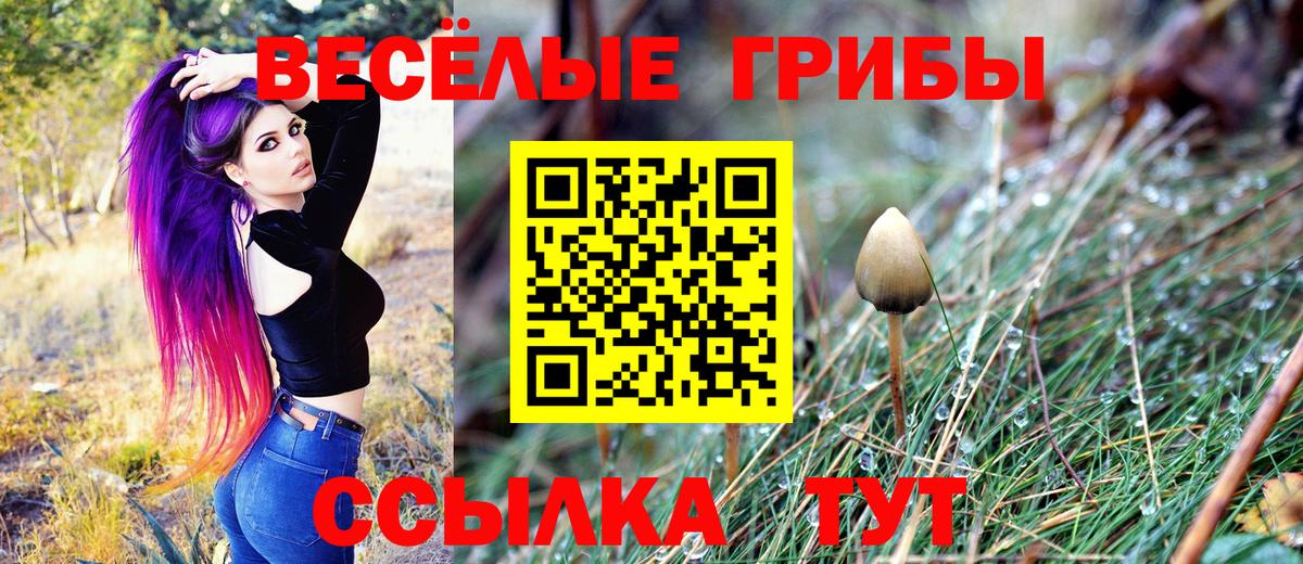Галлюциногенные грибы GOLDEN TEACHER  Вход с VPN  Анжеро-Судженск  Псилоцибиновые грибы мицелий 