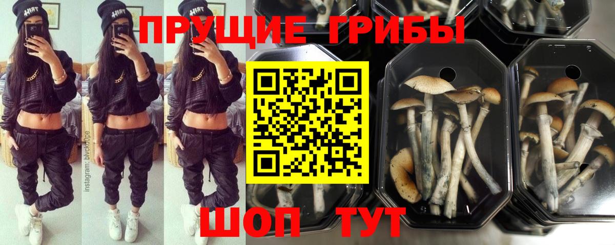 Галлюциногенные грибы Magic Shrooms Анжеро-Судженск